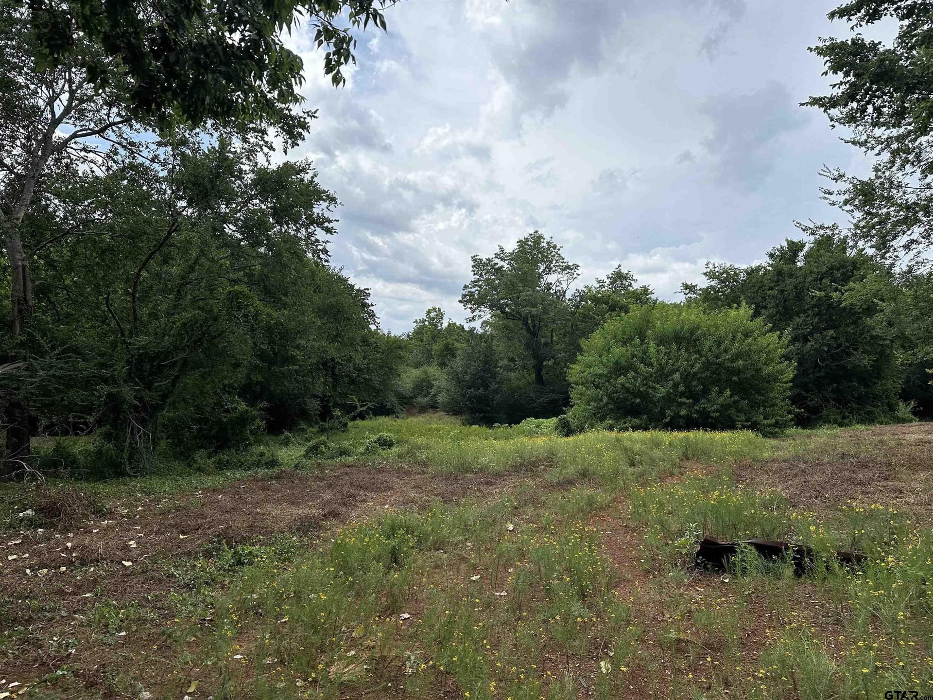 21.29 acres in Anderson County - photo 7