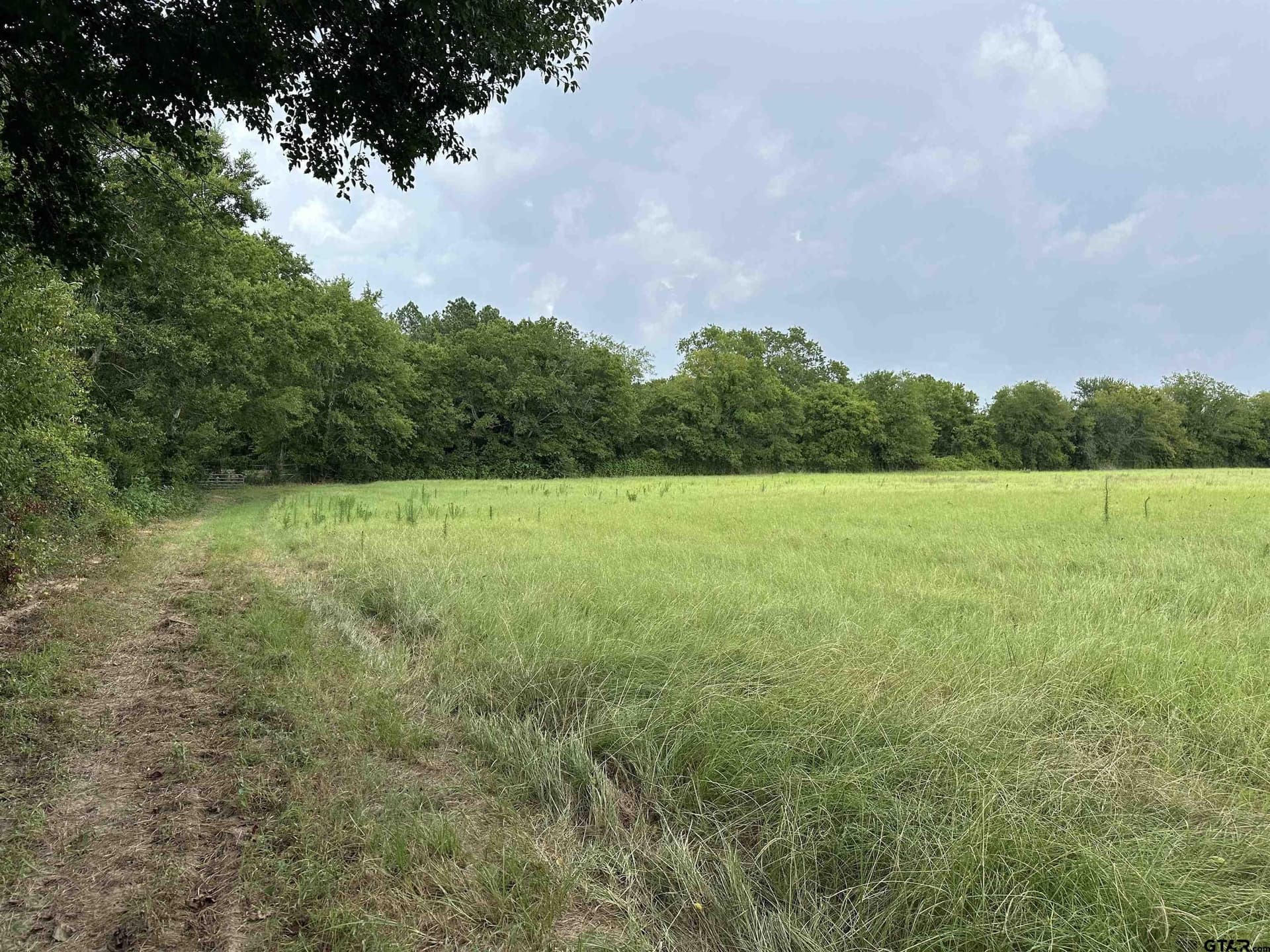 21.29 acres in Anderson County - photo 2