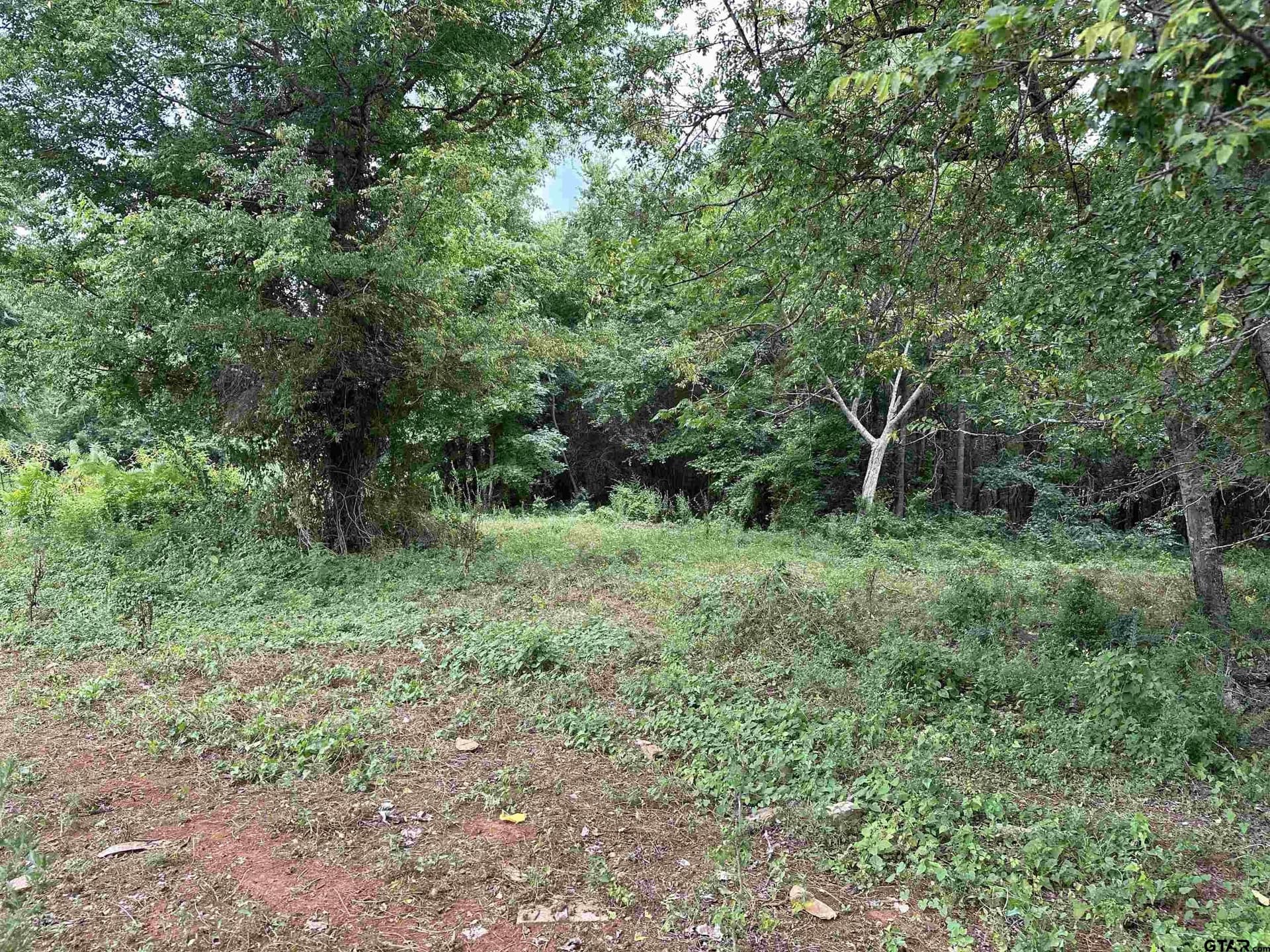 21.29 acres in Anderson County - photo 8