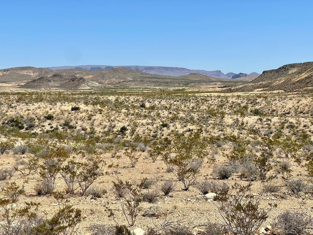 320 acres in Brewster County featured view