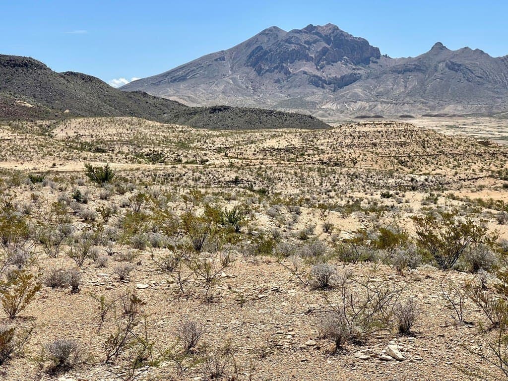 320 acres in Brewster County gallery image 2