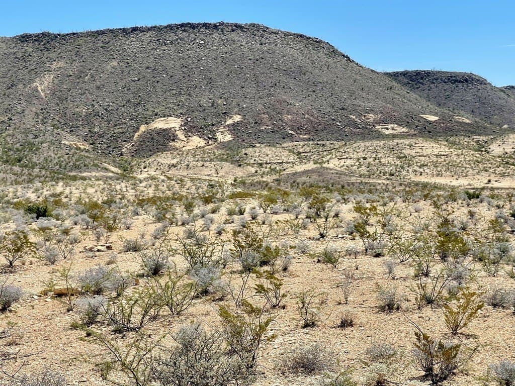 320 acres in Brewster County gallery image 3