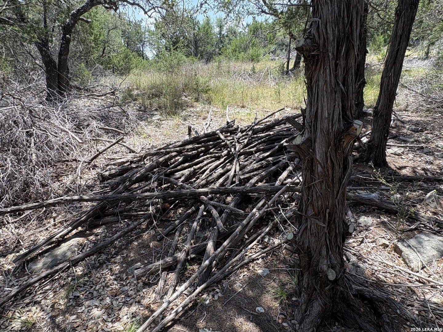 3 acres in Comal County - photo 16