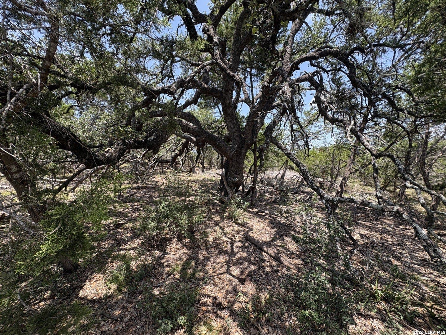 3 acres in Comal County - photo 7