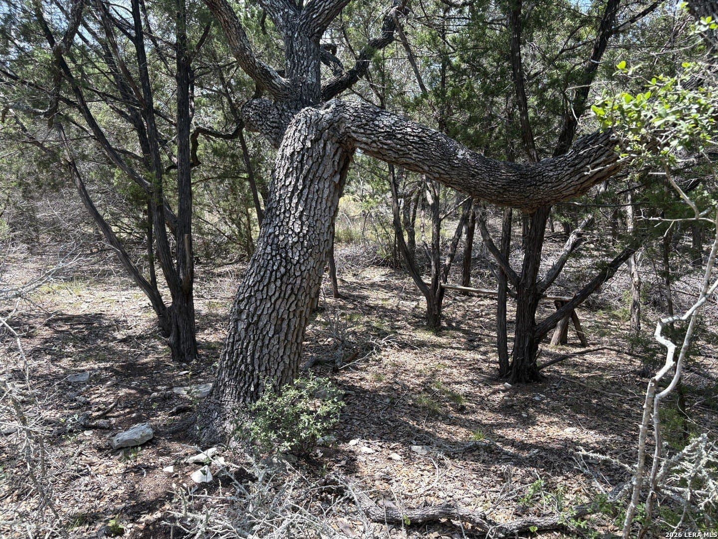 3 acres in Comal County - photo 15