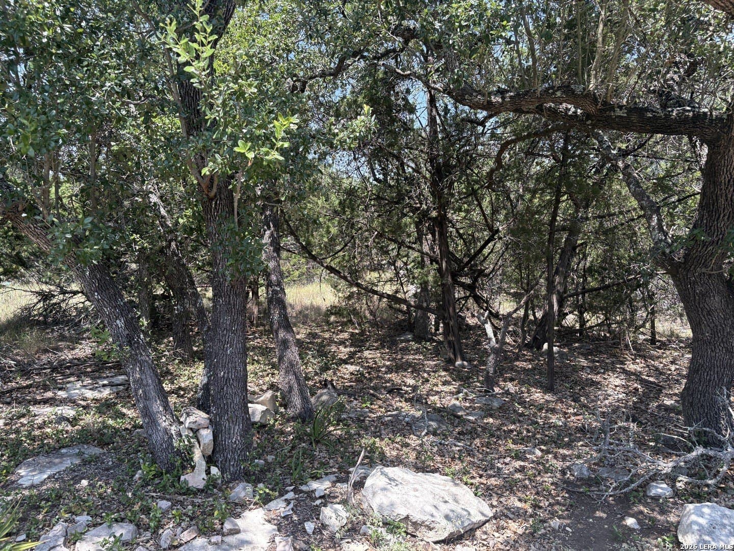 3 acres in Comal County - photo 31