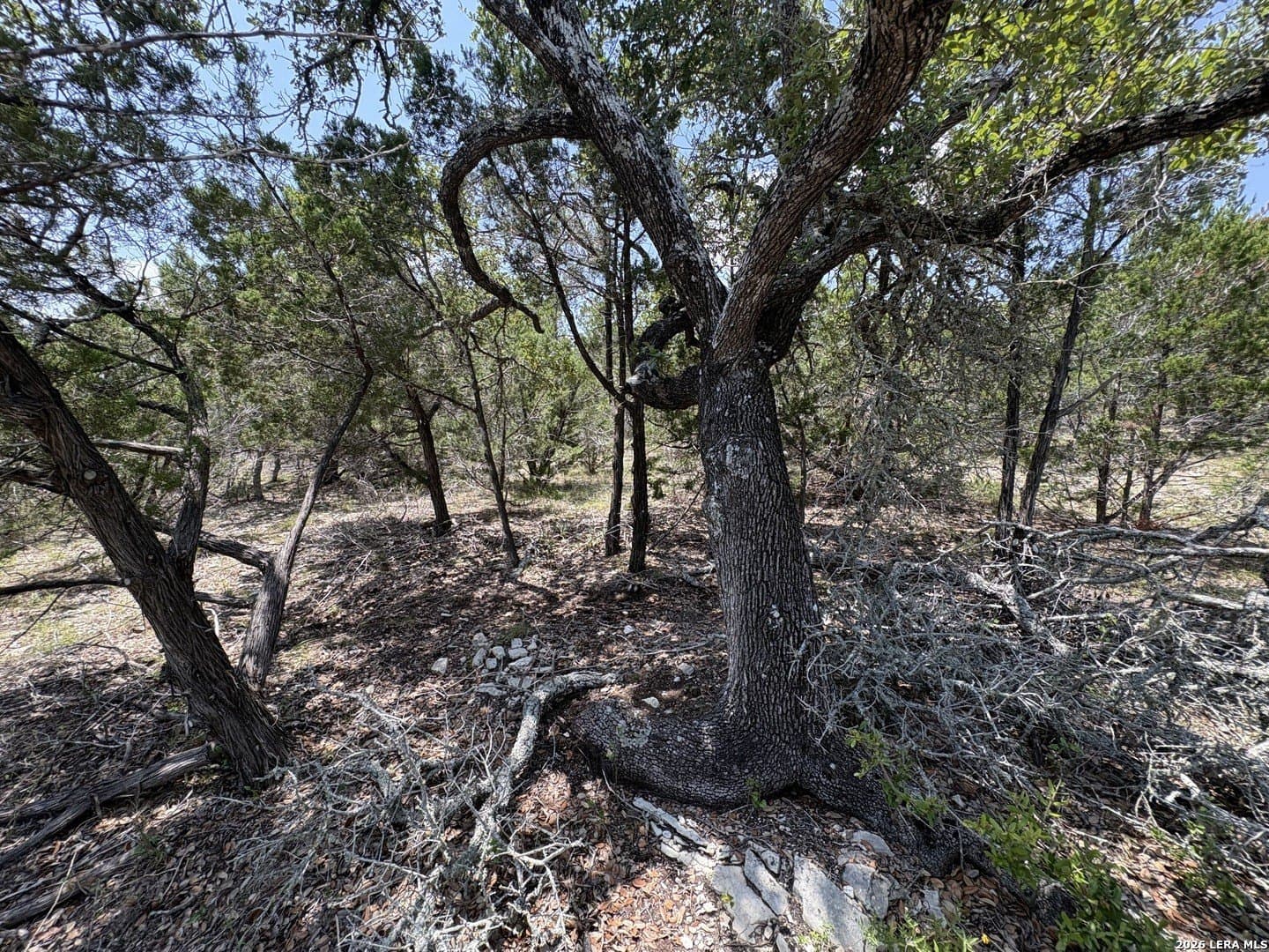 3 acres in Comal County - photo 12