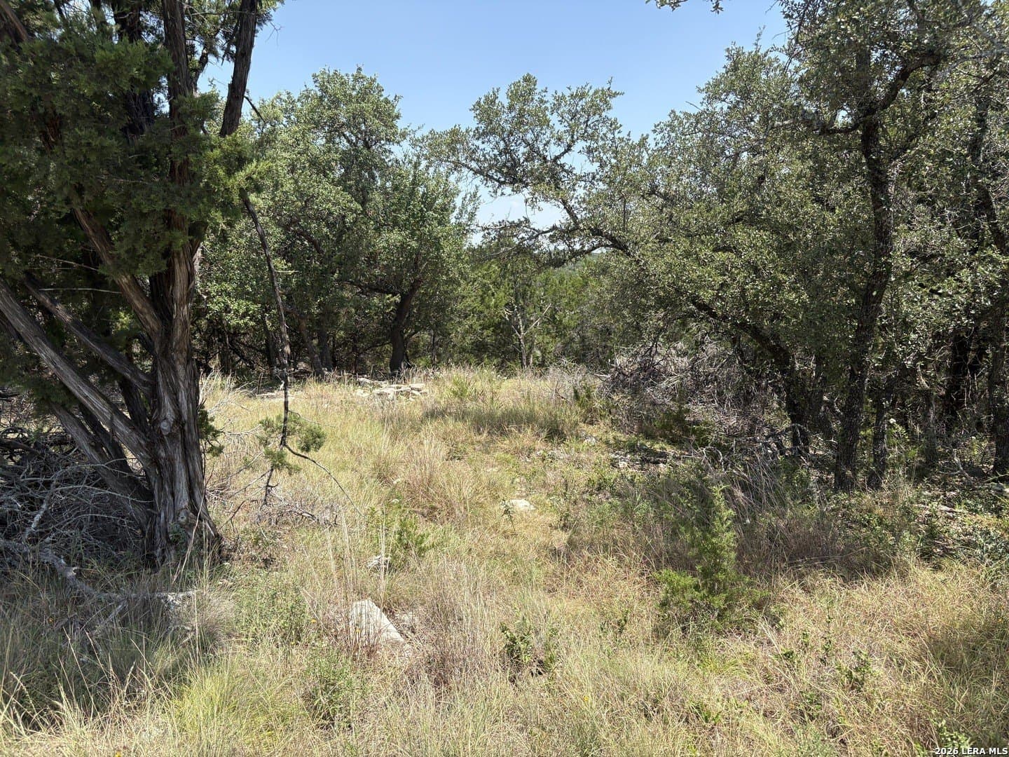 3 acres in Comal County - photo 30