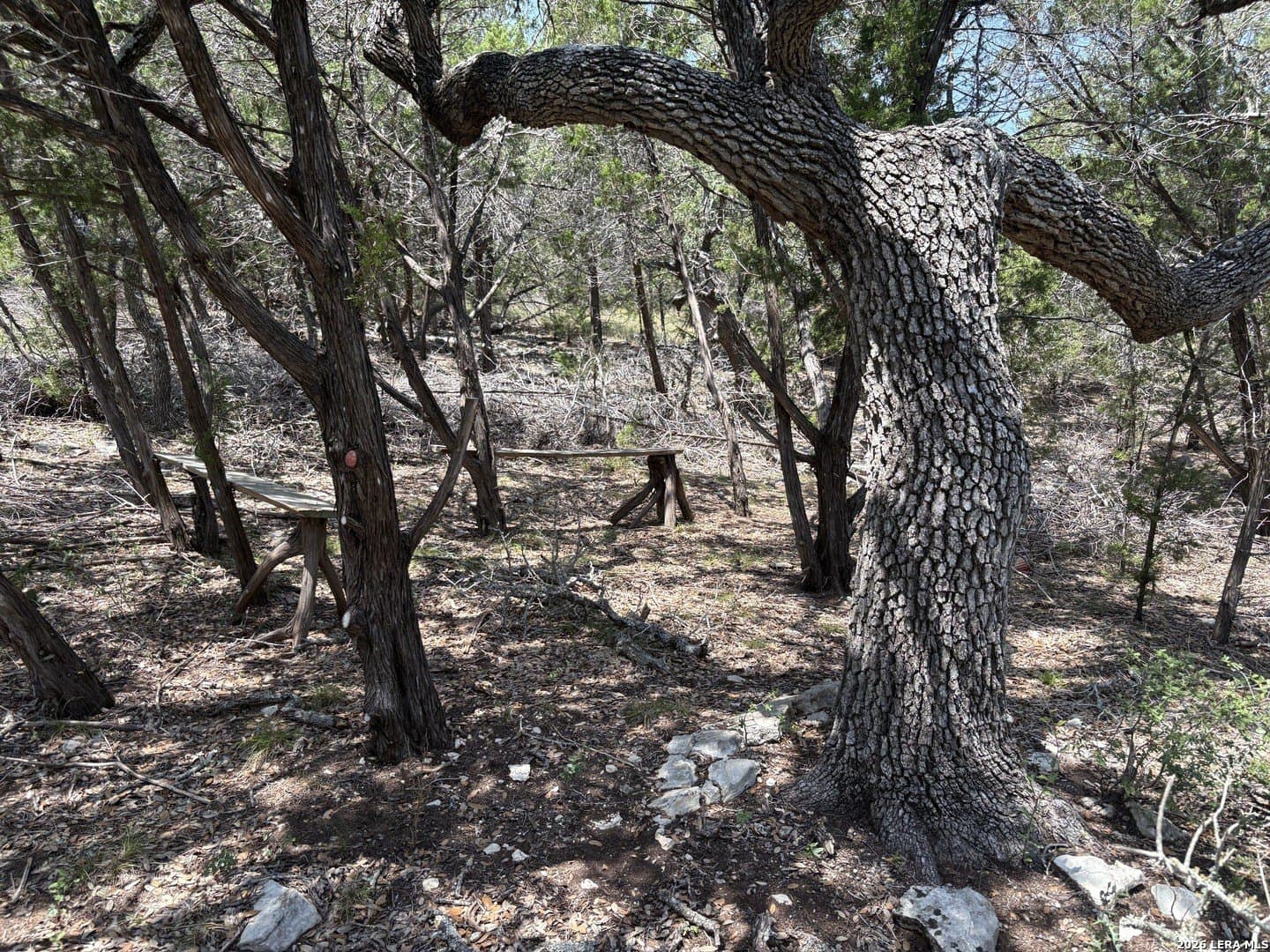 3 acres in Comal County - photo 14