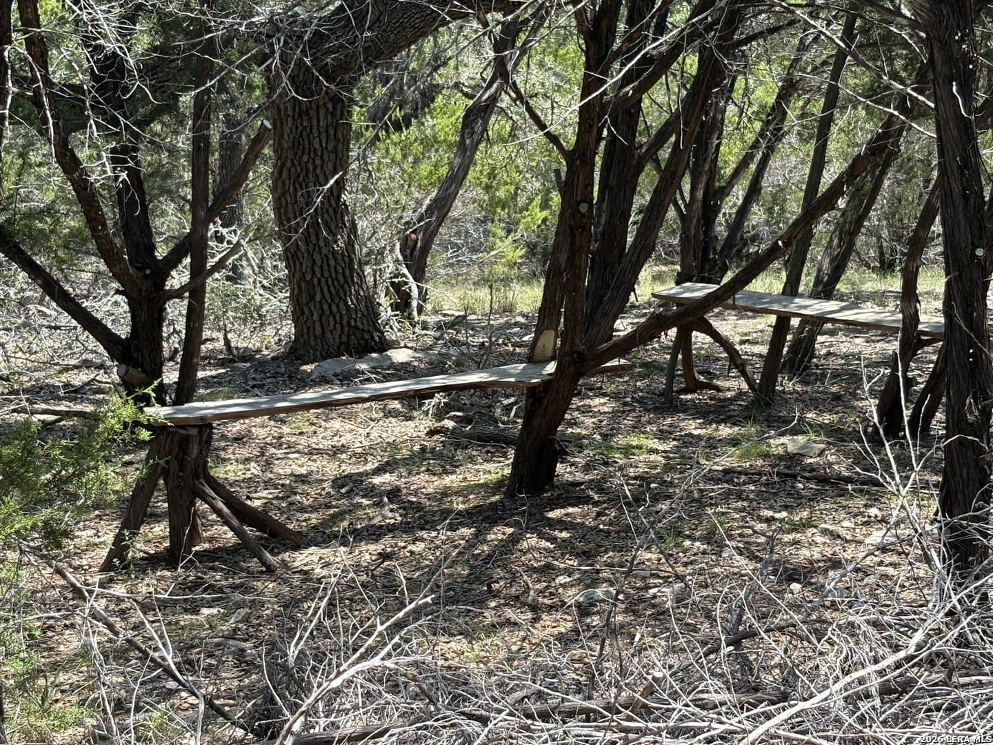 3 acres in Comal County - photo 19