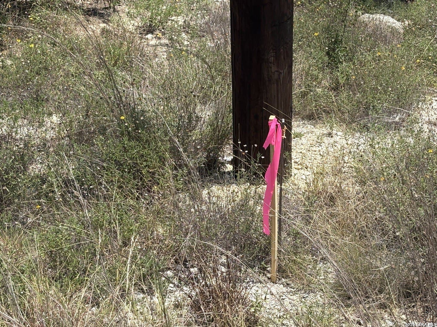 3 acres in Comal County - photo 28
