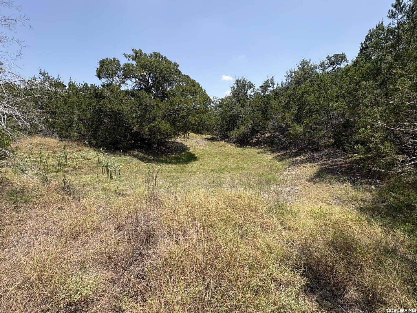 3 acres in Comal County - photo 6