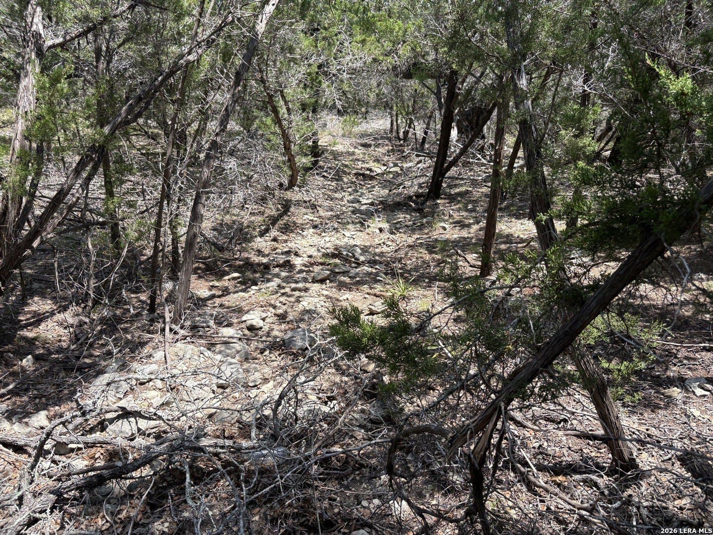 3 acres in Comal County - photo 18