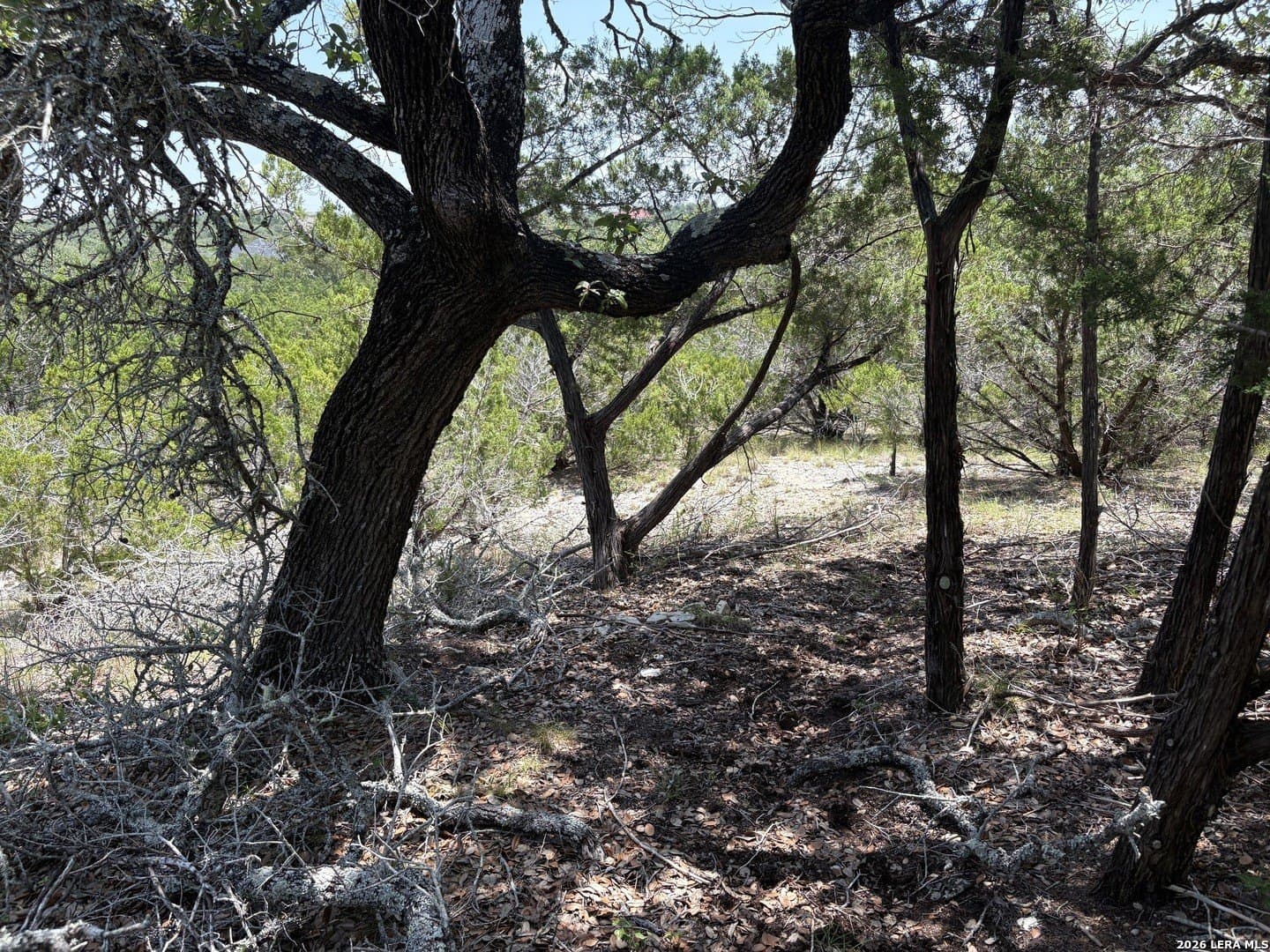 3 acres in Comal County - photo 13