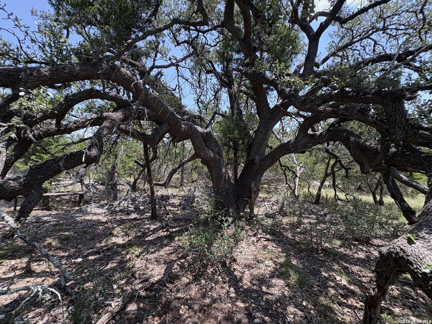 3 acres in Comal County - photo 10