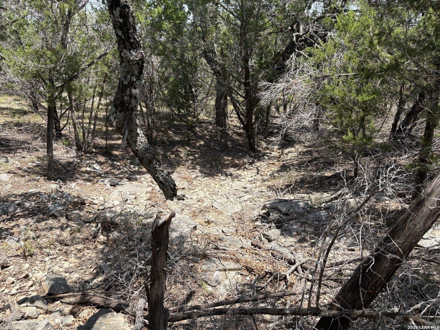 3 acres in Comal County - photo 21