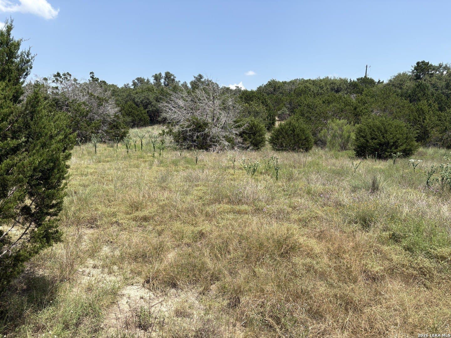 3 acres in Comal County - photo 25