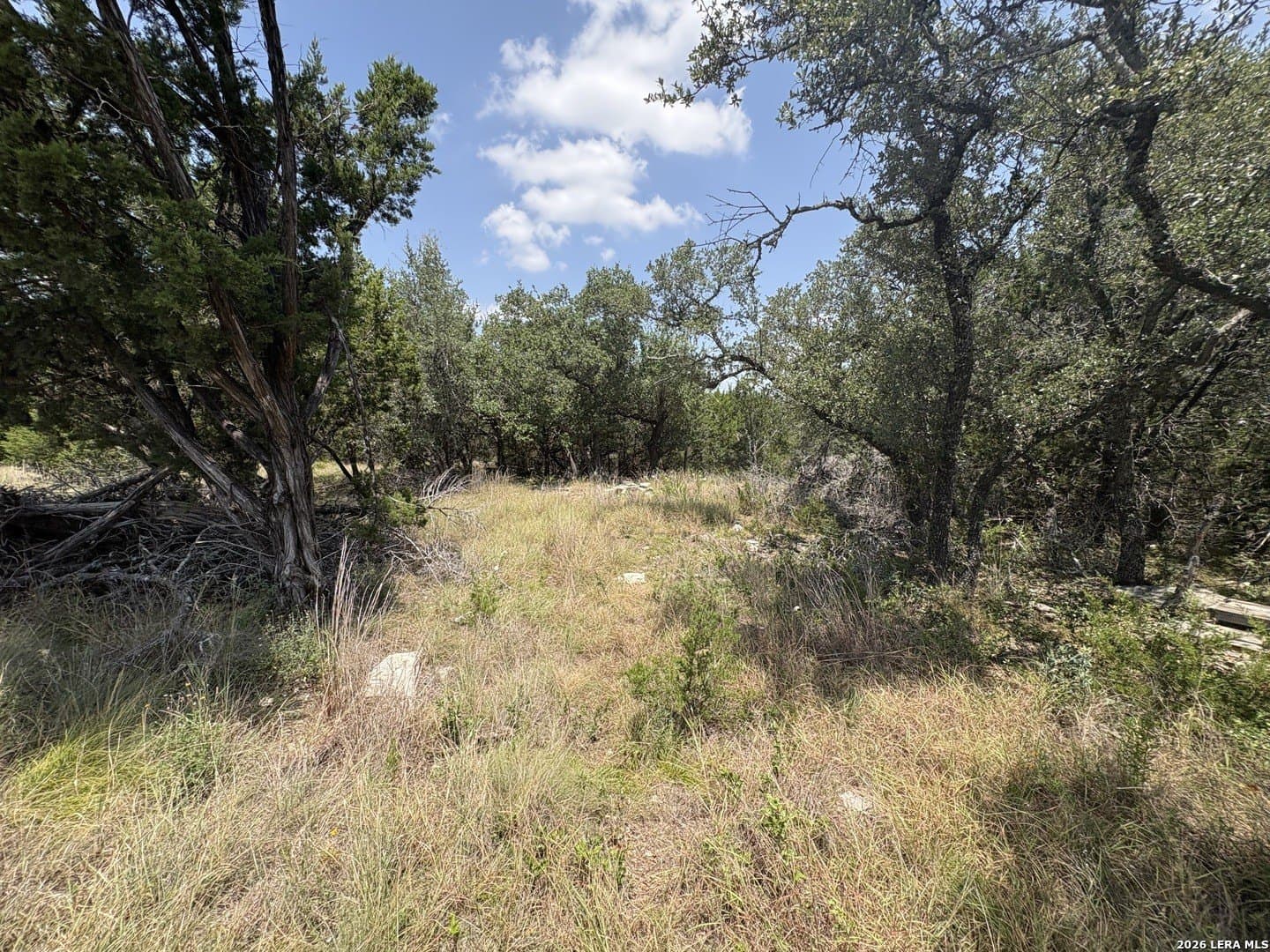 3 acres in Comal County - photo 23