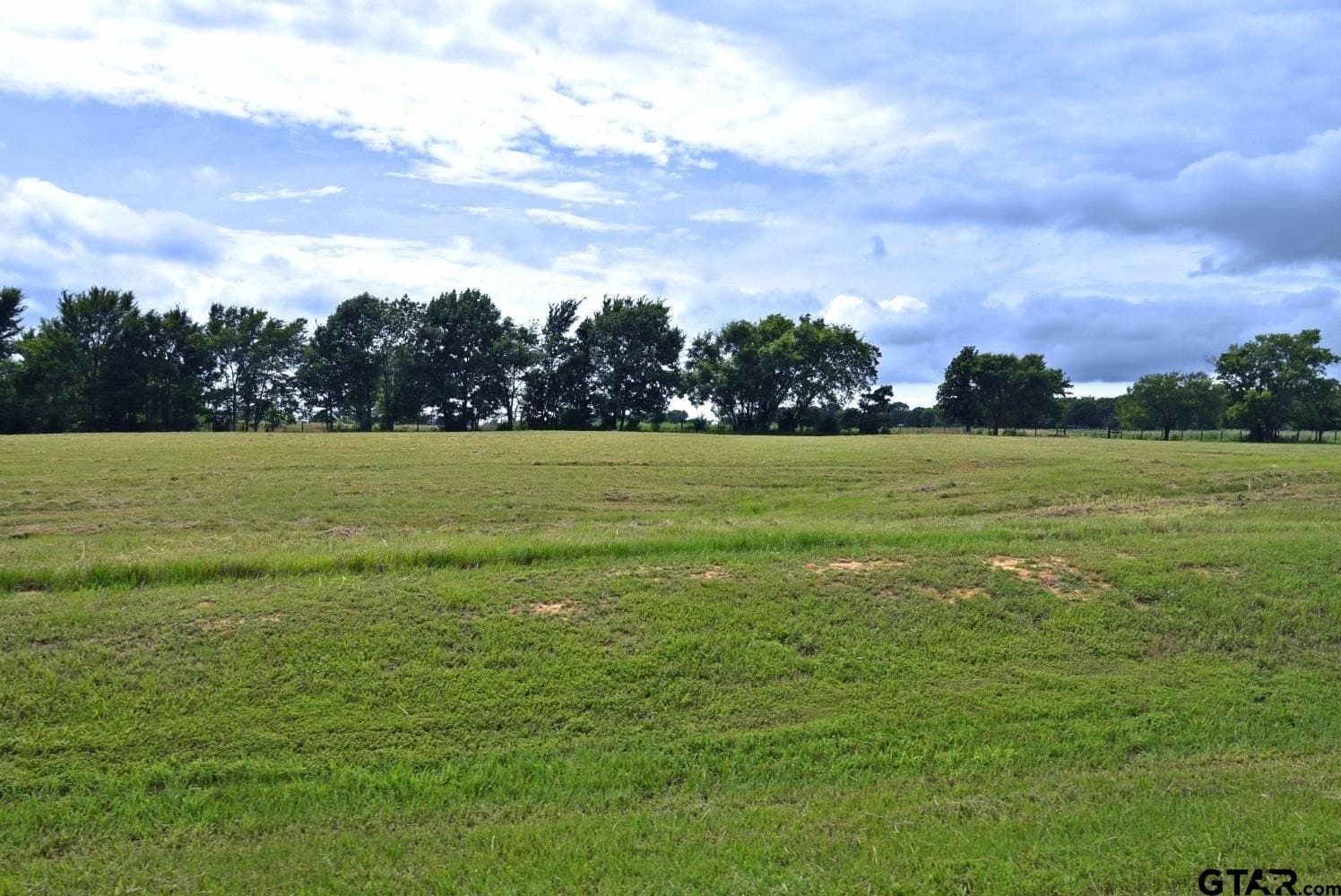 3.54 acres in Wood County - photo 5