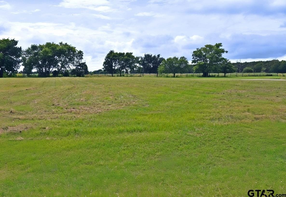 3.54 acres in Wood County - photo 16