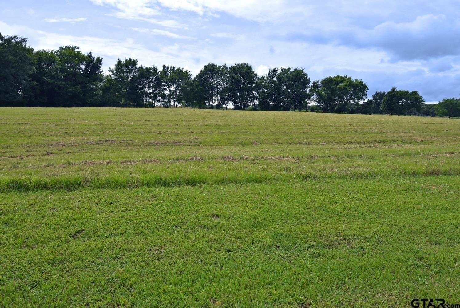 3.54 acres in Wood County - photo 14