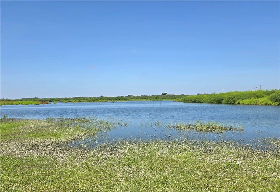 100,000 acres in Live Oak County - photo 6
