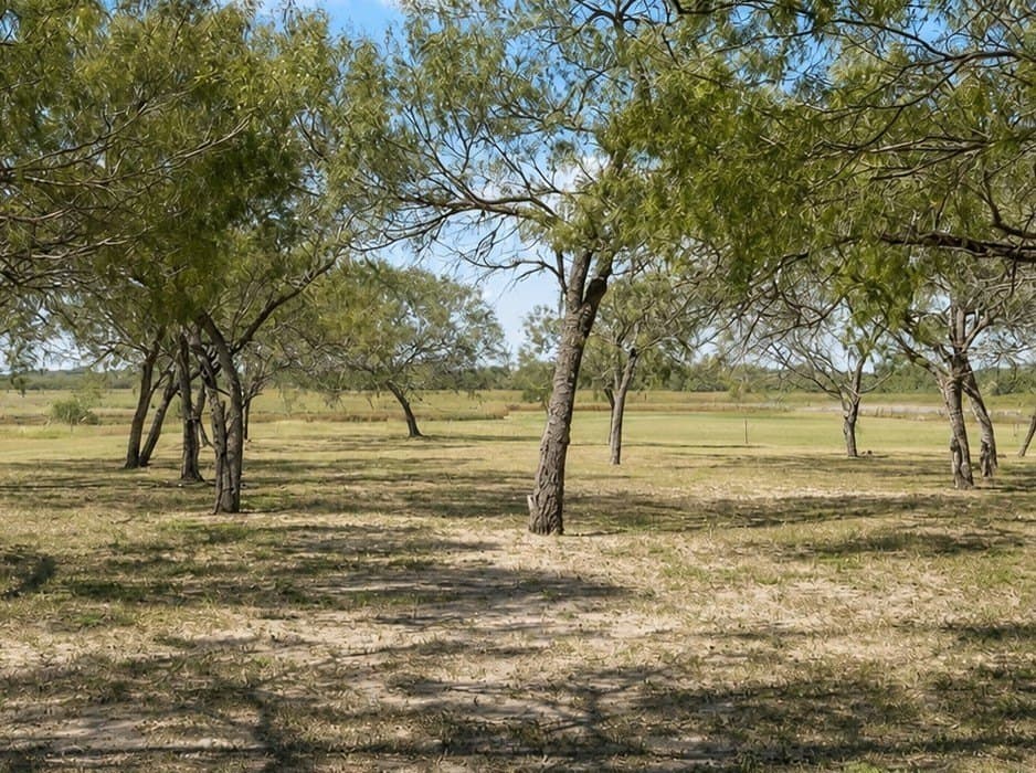 100,000 acres in Live Oak County - photo 28