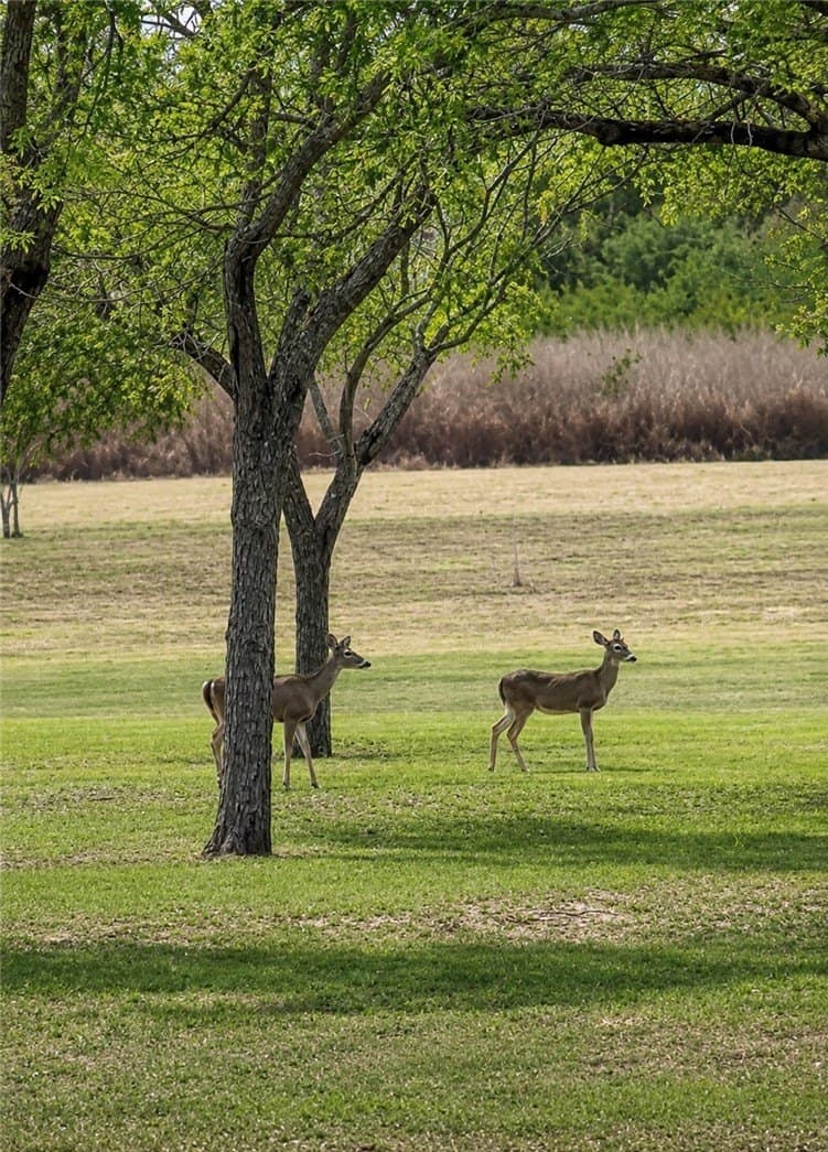 100,000 acres in Live Oak County - photo 7