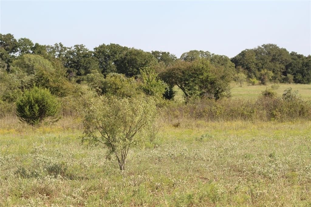 59.84 acres in Wise County gallery image 3