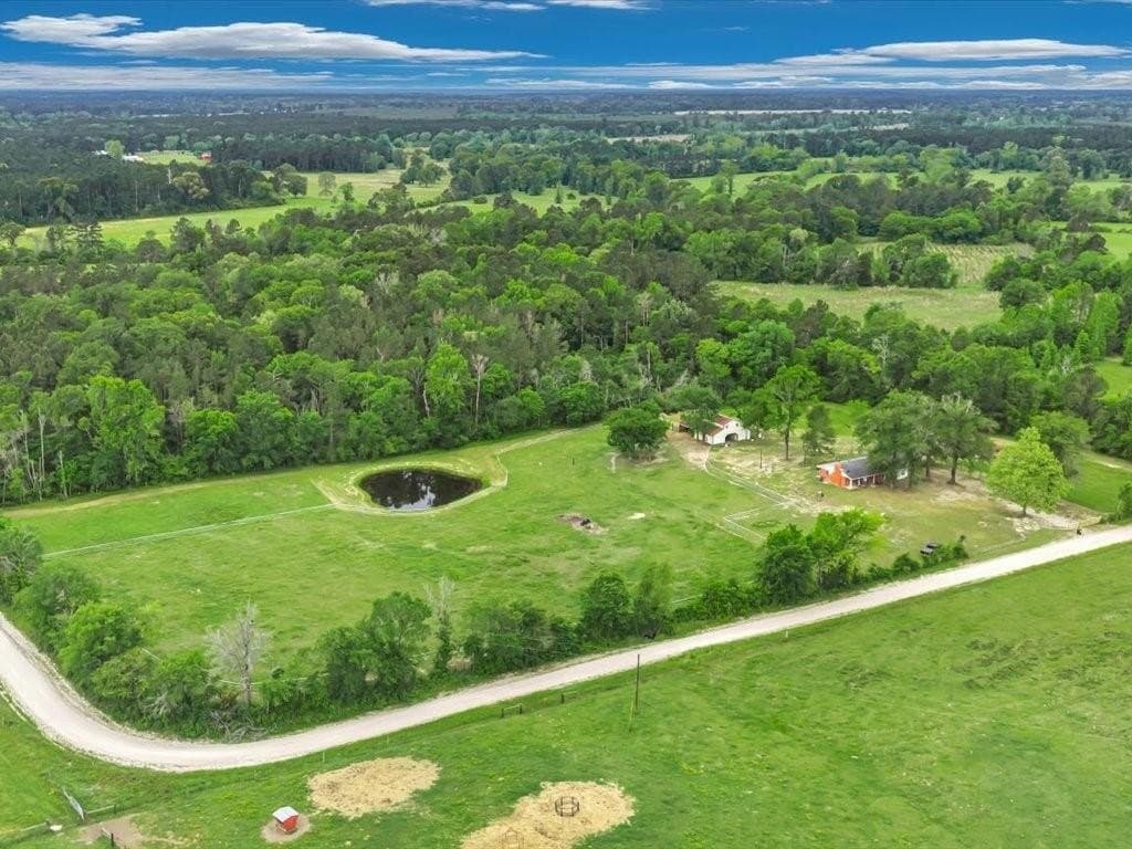 10.59 acres in Trinity County gallery image 2