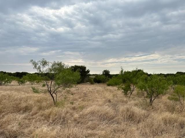 6.89 acres in Palo Pinto County gallery image 3