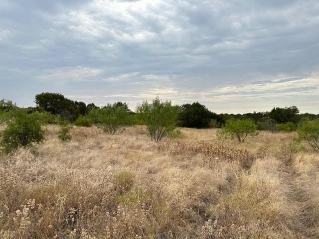 6.89 acres in Palo Pinto County gallery image 4