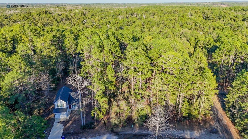 0.19 acres in Texas County - photo 18