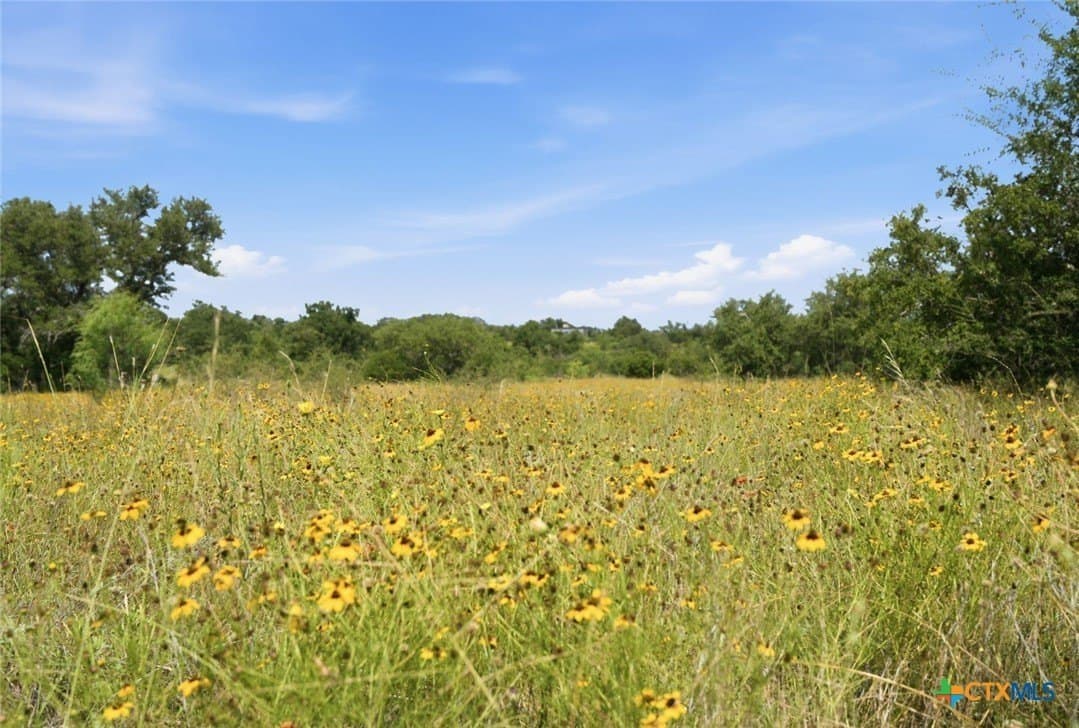 272 acres in Llano County - photo 11