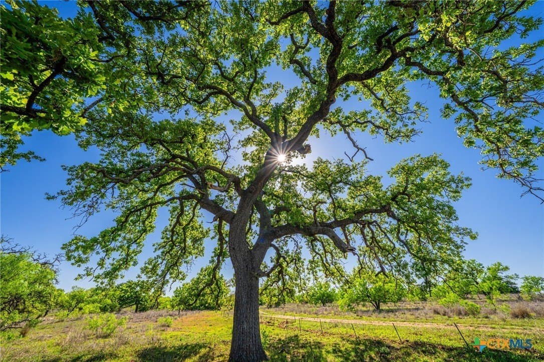 272 acres in Llano County featured view