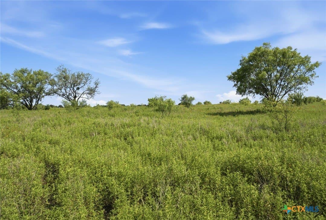 272 acres in Llano County - photo 12