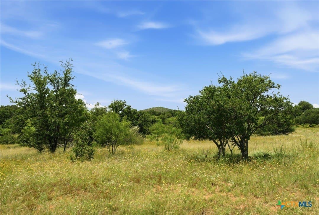 272 acres in Llano County - photo 14