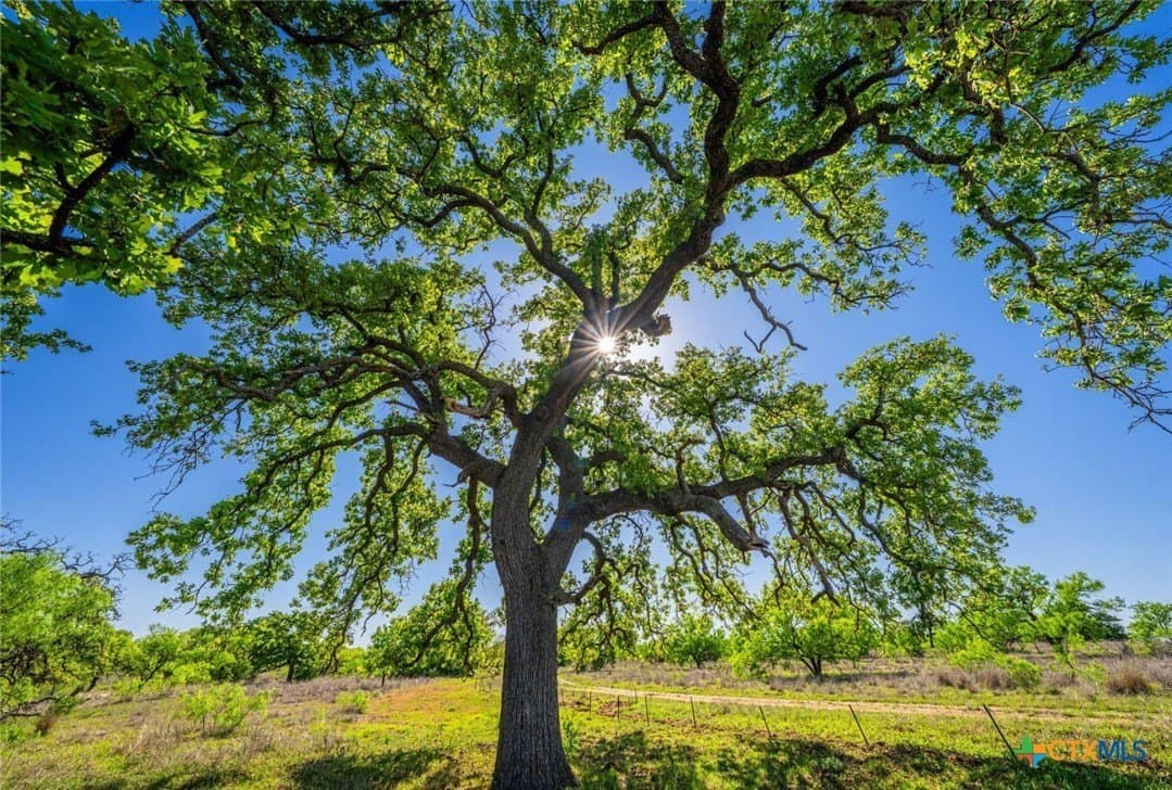 272 acres in Llano County - photo 37