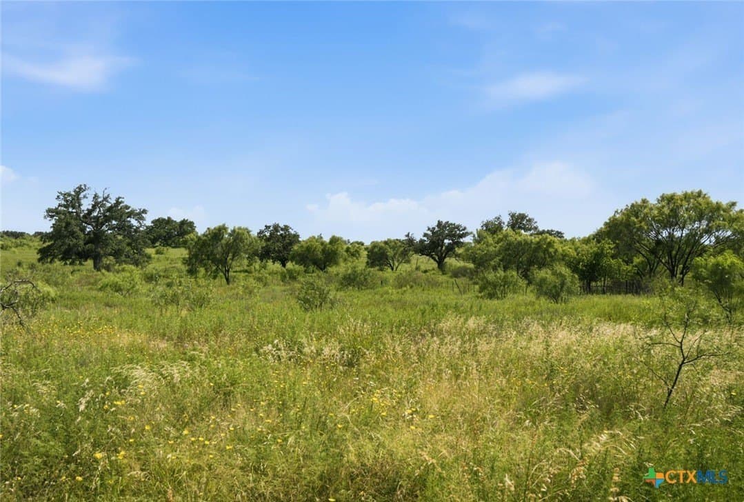 272 acres in Llano County - photo 19