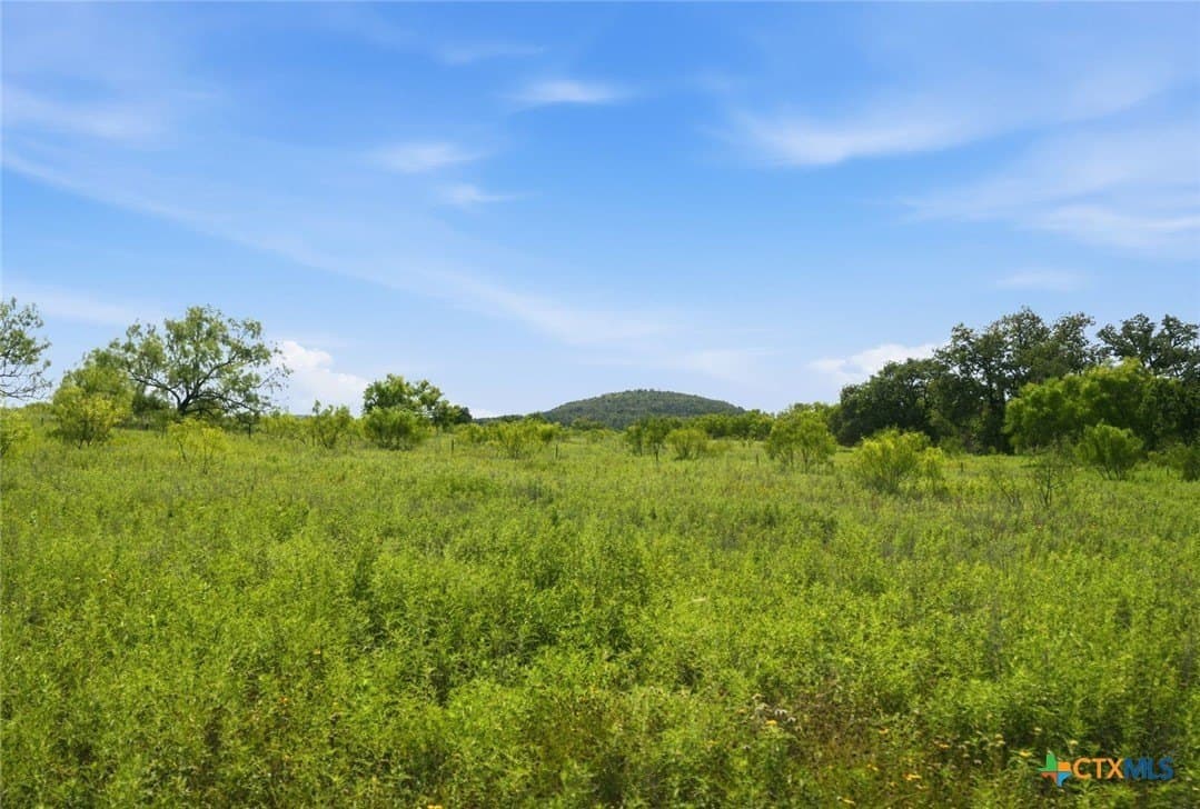 272 acres in Llano County - photo 34