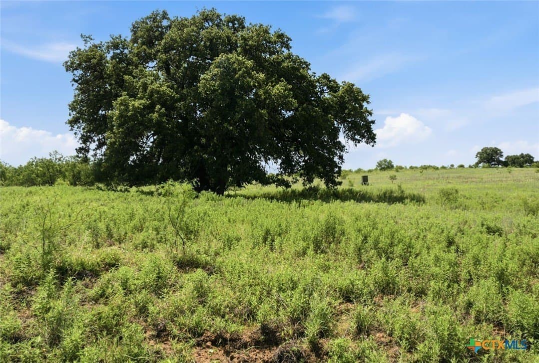 272 acres in Llano County - photo 33