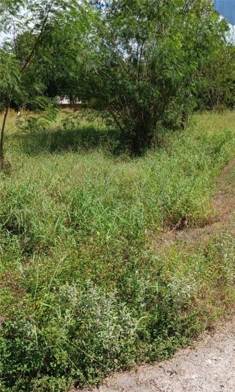 0.17 acres in San Patricio County gallery image 2