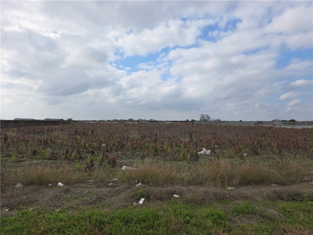 2 acres in Nueces County gallery image 4