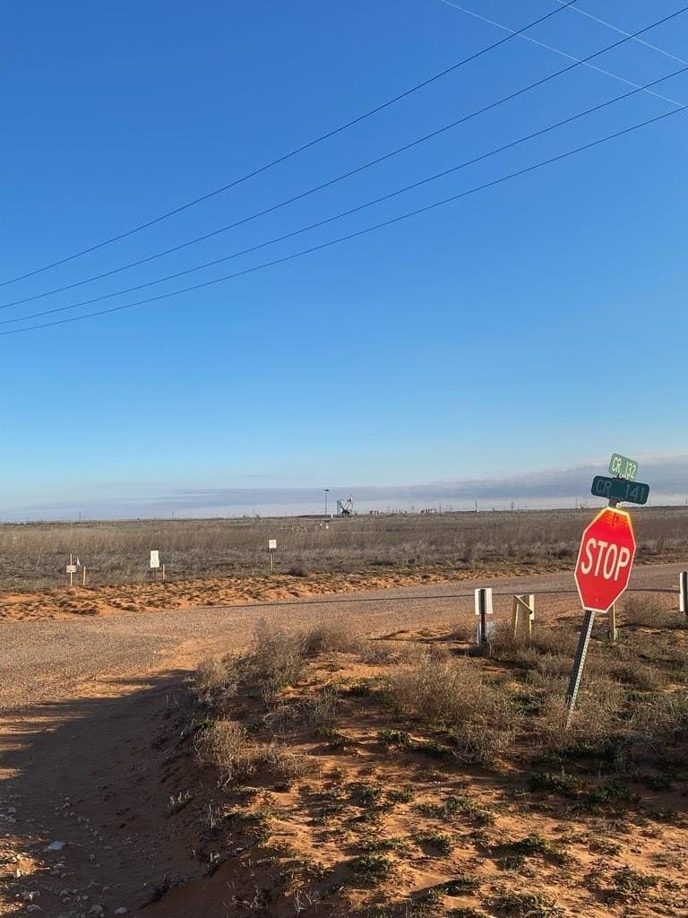 240 acres in Gaines County - photo 3