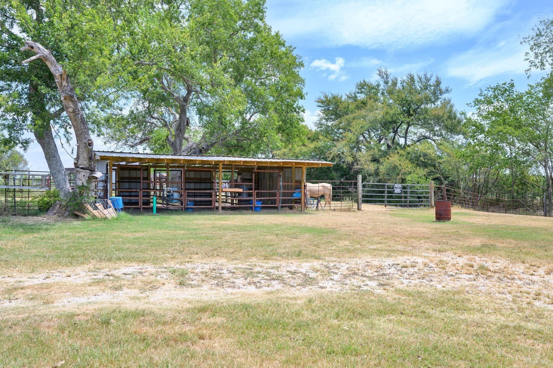 10.05 acres in Robertson County - photo 16