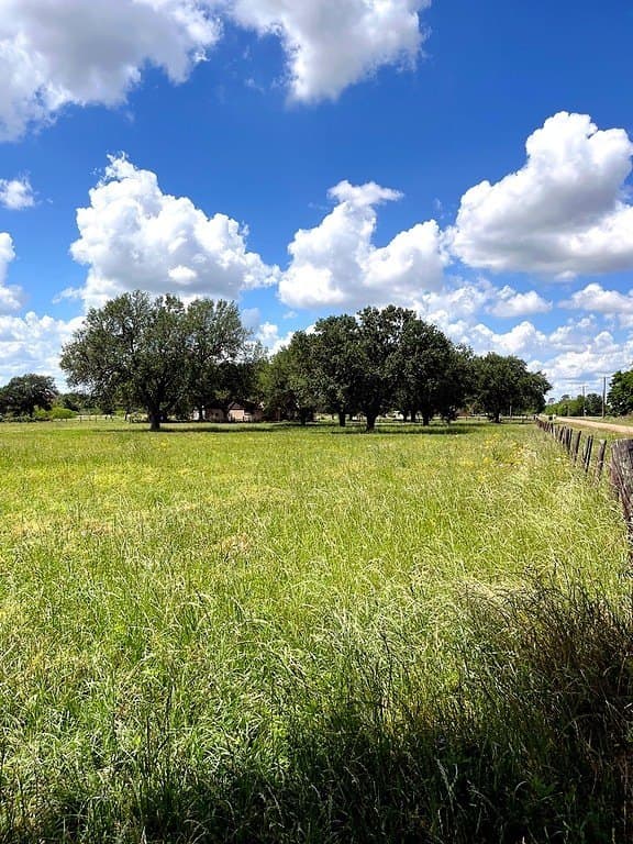 14.24 acres in Colorado County gallery image 4