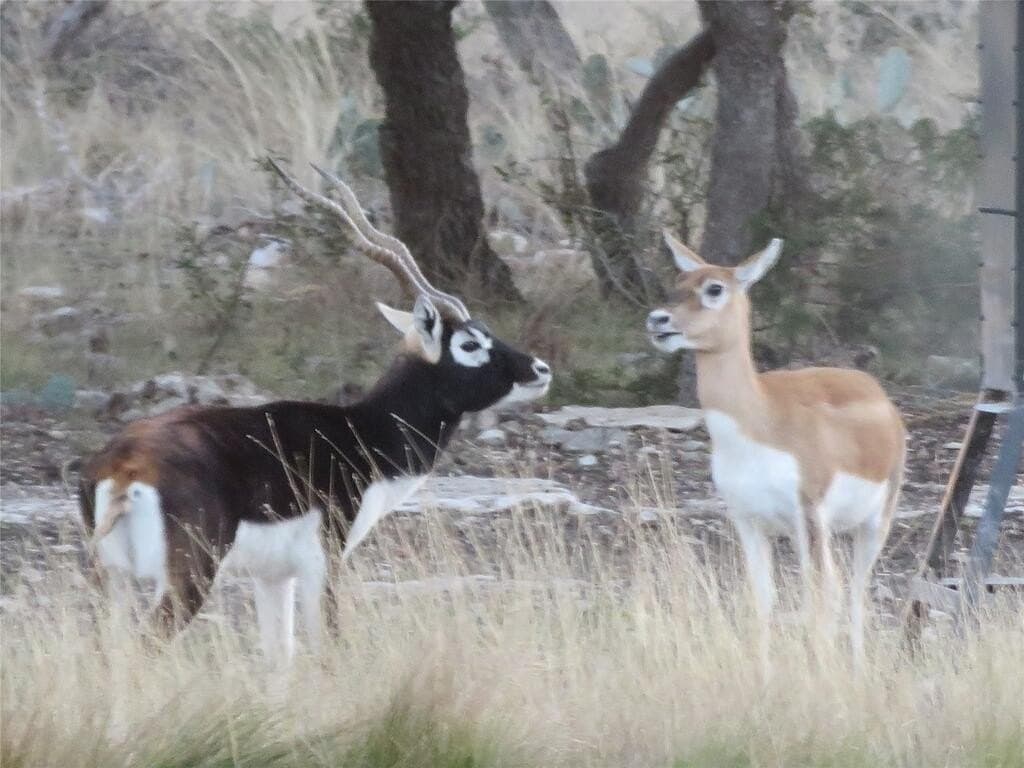 57.67 acres in Kerr County - photo 45