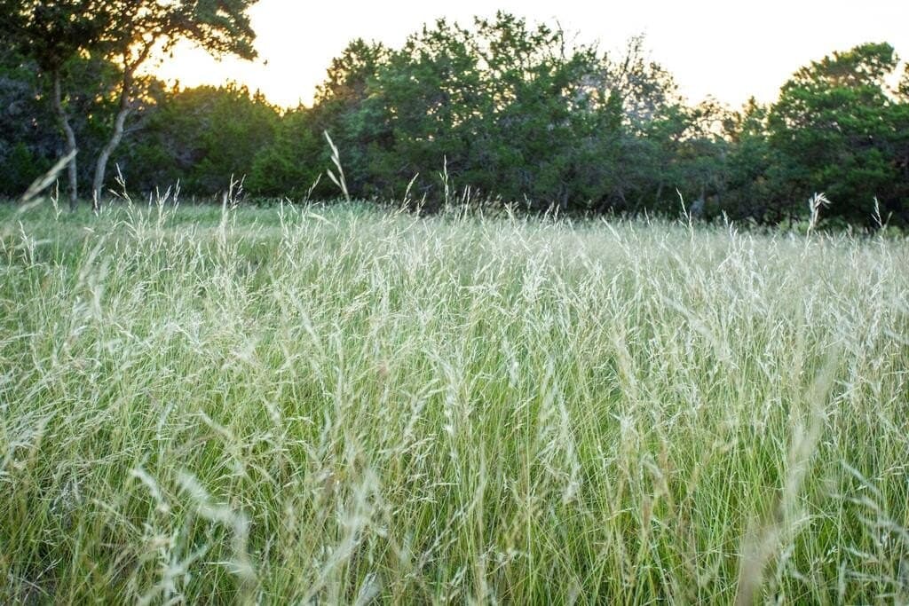 57.67 acres in Kerr County - photo 15