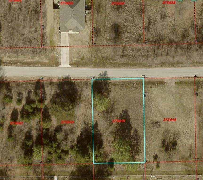 0.2 acres in Henderson County gallery image 2