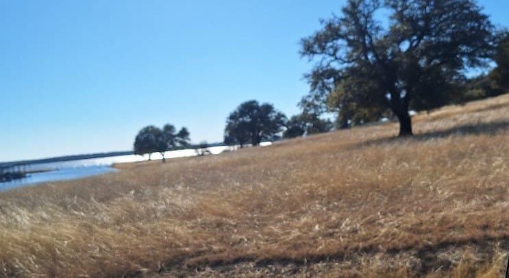 0.27 acres in Hill County - photo 8